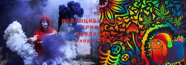 МДПВ Аркадак