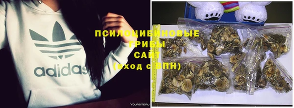 прущий лед Армянск